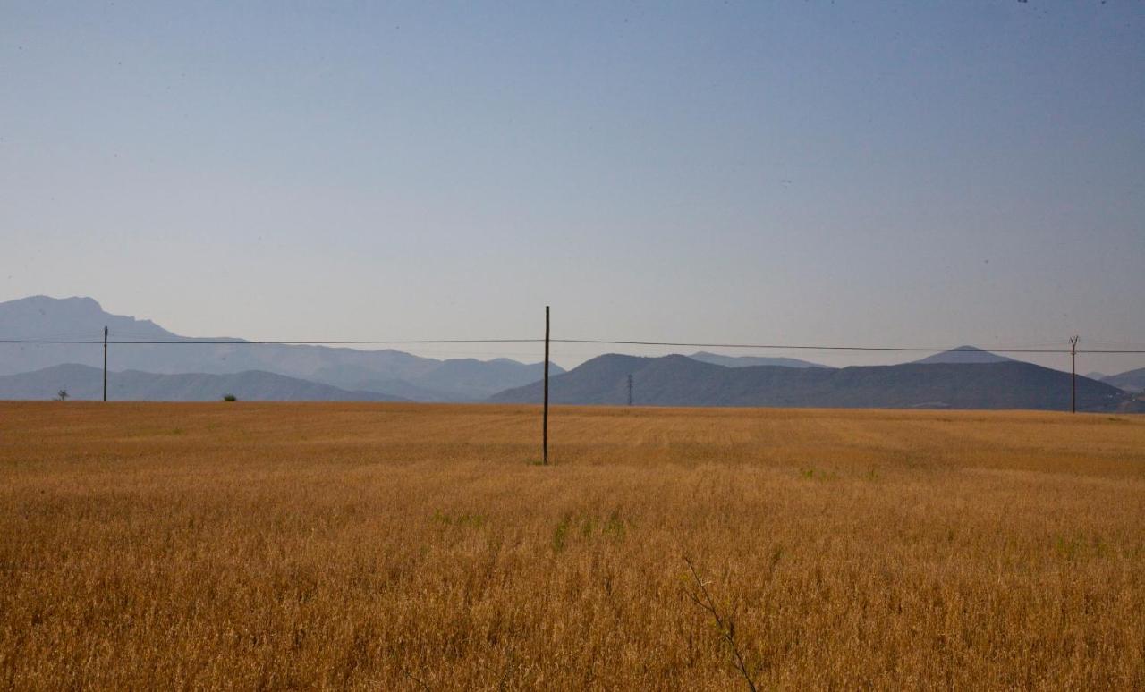 Casa Campo, Casa Rural Entre Jaca Y Anso Binies ภายนอก รูปภาพ